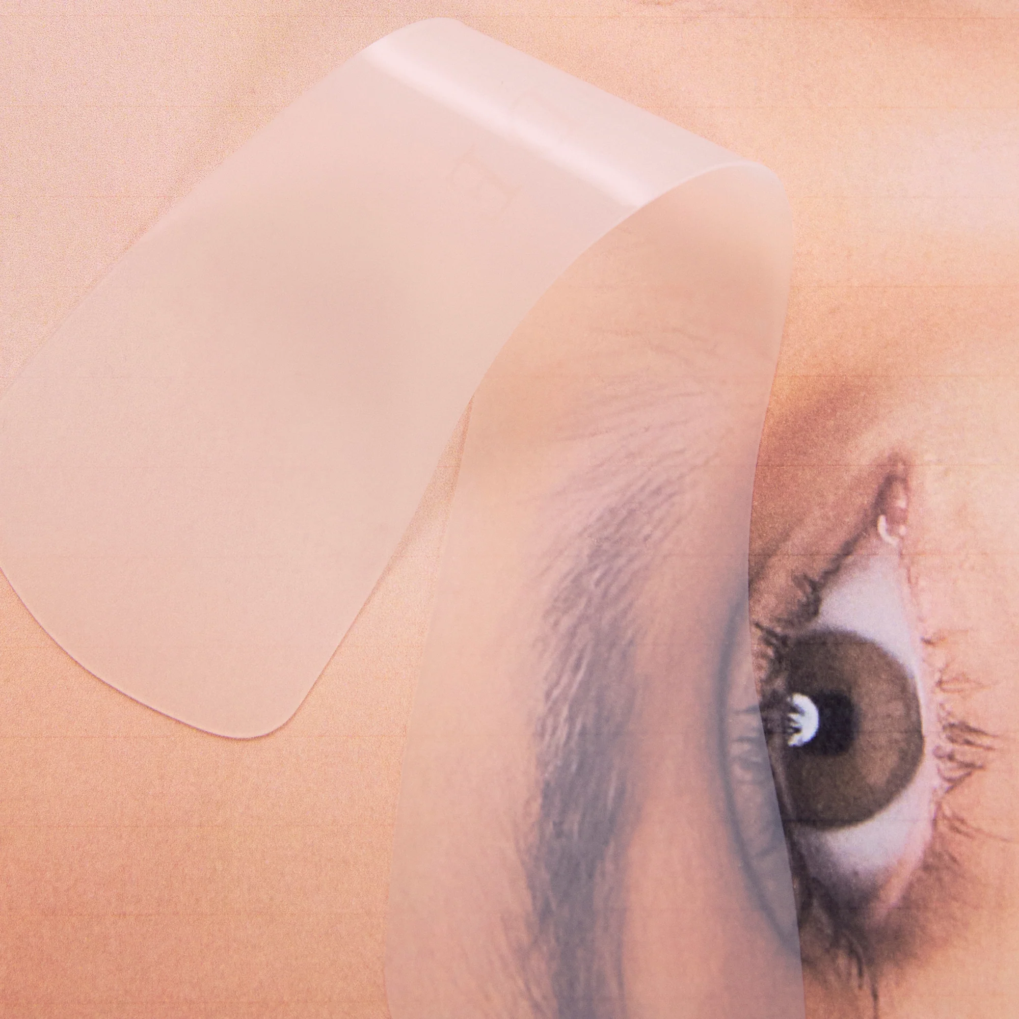 Sculpt & Seal Reusable Brow Wrap - Image 5